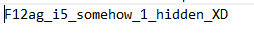 Decoy flag in flag.txt