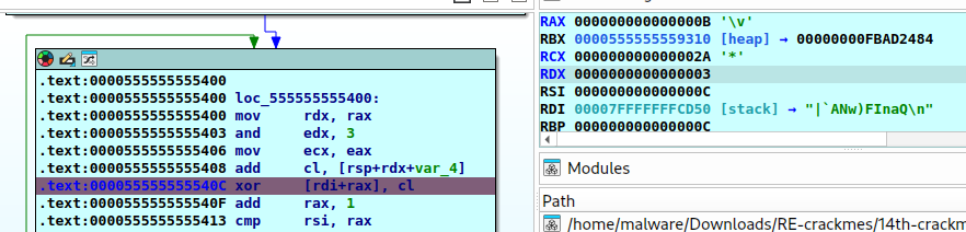 encryption loop assembly